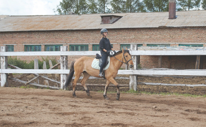 Horse Riding