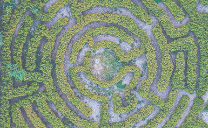 Labyrinth